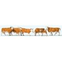 Cows -- Brown, White pkg(6), HO, Preiser Kg 10146