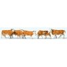Cows -- Brown, White pkg(6), HO, Preiser Kg 10146