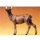Wild Animal Figures, 1/24 - 1/25 Scale -- Cow Elk Standing, 1/25, Preiser Kg 47702