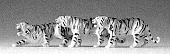 Animals -- Tigers (black, white) pkg(3), HO, Preiser Kg 20380