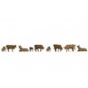 Cows -- pkg(9), N, Noch Gmbh & Co 38216