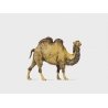 Animal -- Camel, HO, Preiser Kg 29506