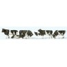 Cows -- Black, White pkg(6), HO, Preiser Kg 10145