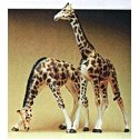 Animals -- Giraffes pkg(2), HO, Preiser Kg 20385