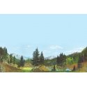 Background Scene 24 x 36′ 60 x 90cm - Instant Horizons(TM) -- Tall Timber, HO, Walthers SceneMaster 702