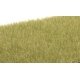 Static Grass - Field System - 1/8′ 4mm Fibers -- Light Green, All Scales, Woodland Scenics 619