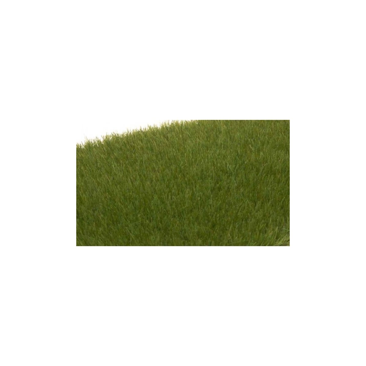 Static Grass - Field System - 1/8′ 4mm Fibers -- Dark Green, All Scales, Woodland Scenics 617