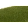 Static Grass - Field System - 1/8′ 4mm Fibers -- Dark Green, All Scales, Woodland Scenics 617