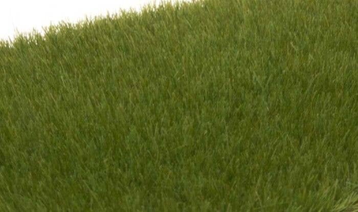 Static Grass - Field System - 1/8′ 4mm Fibers -- Dark Green, All Scales, Woodland Scenics 617