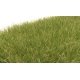 Static Grass - Field System -- Medium Green - 1/4′ 7mm Fibers, All Scales, Woodland Scenics 622
