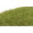 Static Grass - Field System -- Medium Green - 1/4′ 7mm Fibers, All Scales, Woodland Scenics 622