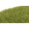 Static Grass - Field System -- Medium Green - 1/4′ 7mm Fibers, All Scales, Woodland Scenics 622