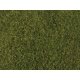 Tear & Plant Meadow Grass -- Light Green - Measures 7-7/8 x 9′ 20 x 23cm, All Scales, Walthers SceneMaster 1224