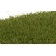 Static Grass - Field System -- Dark Green 1/4′ 7mm Fibers, All Scales, Woodland Scenics 621