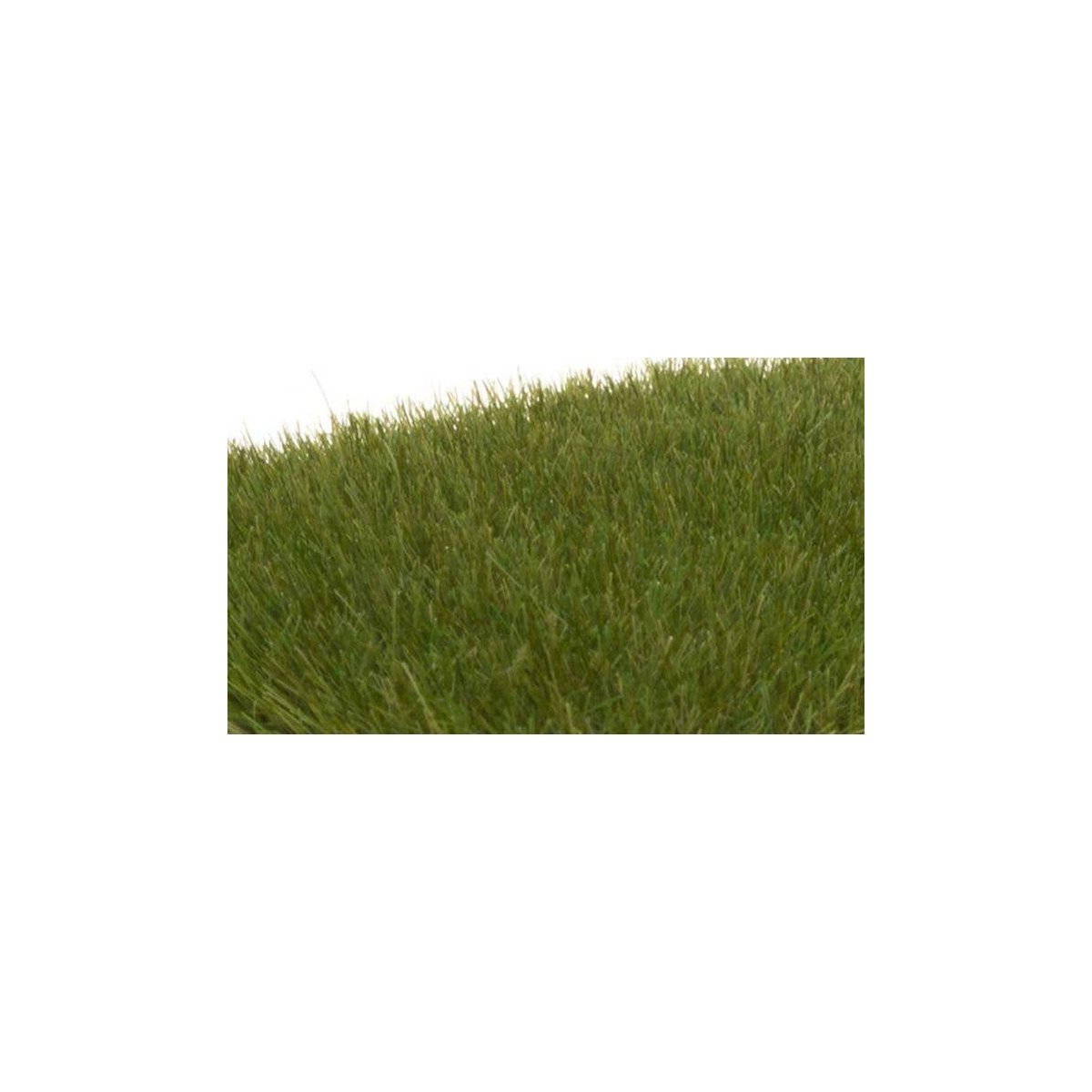 Static Grass - Field System -- Dark Green 1/4′ 7mm Fibers, All Scales, Woodland Scenics 621