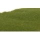 Static Grass - Field System -- Dark Green Fibers - 1/16′ 2mm, All Scales, Woodland Scenics 613