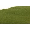 Static Grass - Field System -- Dark Green Fibers - 1/16′ 2mm, All Scales, Woodland Scenics 613