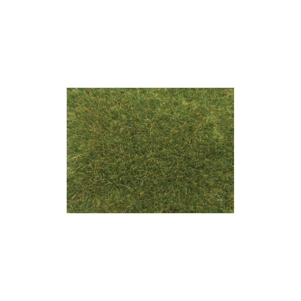 Static Wild Grass - 1-3/4oz 50g Long Fibers - 3/8′ .9cm -- Medium Green, All Scales, Noch Gmbh & Co 7118