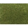 Static Wild Grass - 1-3/4oz 50g Long Fibers - 3/8′ .9cm -- Medium Green, All Scales, Noch Gmbh & Co 7118