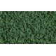 Underbrush Clump-Foliage 18 cu.in. -- Dark Green, All Scales, Woodland Scenics 137