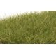 Static Grass - Field System -- Medium Green 1/2′ 12mm Fibers, All Scales, Woodland Scenics 626