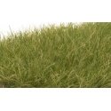 Static Grass - Field System -- Medium Green 1/2′ 12mm Fibers, All Scales, Woodland Scenics 626