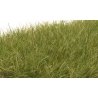 Static Grass - Field System -- Medium Green 1/2′ 12mm Fibers, All Scales, Woodland Scenics 626