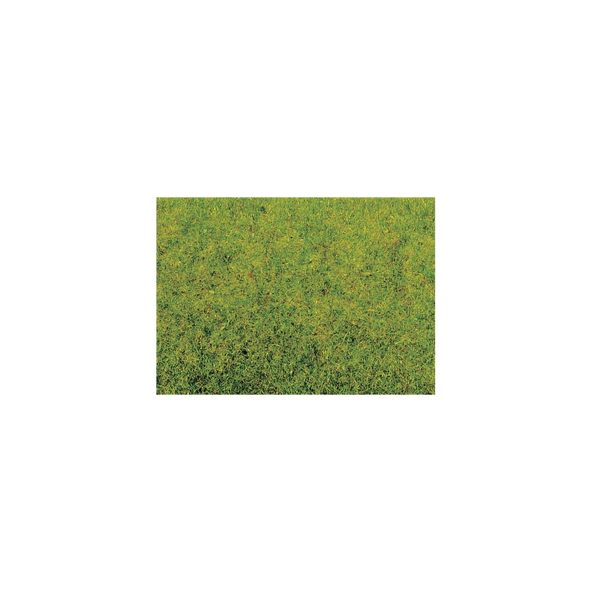 Static Grass - .7oz 20g -- Spring Green, HO, Noch Gmbh & Co 8300