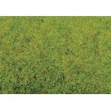 Static Grass - .7oz 20g -- Spring Green, HO, Noch Gmbh & Co 8300