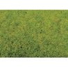 Static Grass - .7oz 20g -- Spring Green, HO, Noch Gmbh & Co 8300