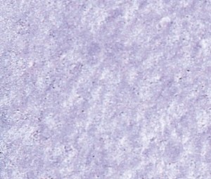 Mortar - 17-1/2oz 496g -- Rocks (Gray), All Scales, Busch Gmbh & Co Kg 7590