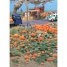 Pumpkin Patch -- Kit - 80 pumpkins (assorted sizes) & eight vines, HO, Walthers SceneMaster 1115