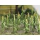 Corn Stalks -- 1′ 2.5cm Tall pkg(30), HO, Bachmann Industries 32501