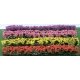 Flower Hedges - 5 x 3/8 x 5/8′ 12.7 x 1 x 1.6cm pkg(8) -- Red, Pink, Yellow & Purple, HO, JTT Miniature Tree 95509