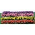 Flower Hedges - 5 x 3/8 x 5/8′ 12.7 x 1 x 1.6cm pkg(8) -- Red, Pink, Yellow & Purple, HO, JTT Miniature Tree 95509