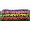 Flower Hedges - 5 x 3/8 x 5/8′ 12.7 x 1 x 1.6cm pkg(8) -- Red, Pink, Yellow & Purple, HO, JTT Miniature Tree 95509
