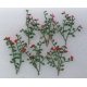 Rose Bushes -- 1-3/8′ 3.5cm pkg(6), HO, JTT Miniature Tree 95539