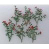 Rose Bushes -- 1-3/8′ 3.5cm pkg(6), HO, JTT Miniature Tree 95539