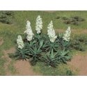 Yucca -- pkg(20), HO, JTT Miniature Tree 95611
