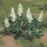 Yucca -- pkg(20), O, JTT Miniature Tree 95612