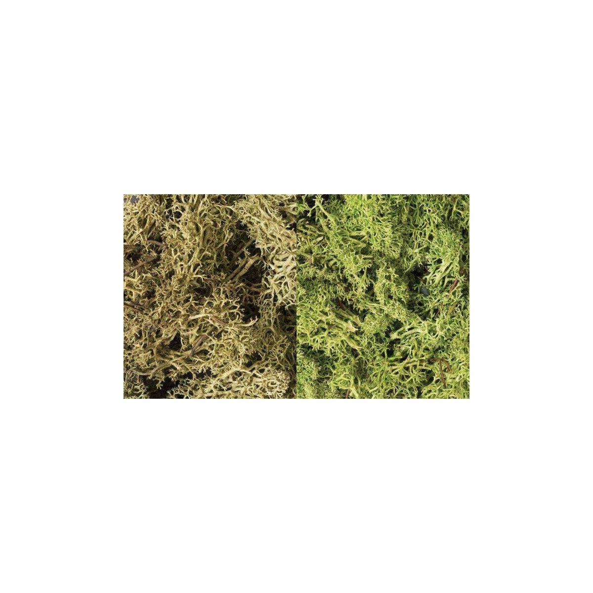 Lichen - 48oz 2.84L -- Light Green Mix, All Scales, Woodland Scenics 167