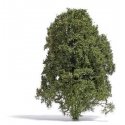 Filigree Bush -- Late Summer Green 5/8′ 1.5cm Tall, All Scales, Busch Gmbh & Co Kg 3589