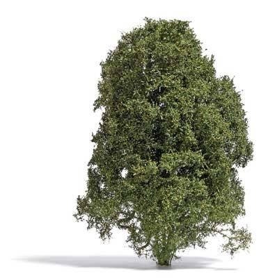 Filigree Bush -- Late Summer Green 5/8′ 1.5cm Tall, All Scales, Busch Gmbh & Co Kg 3589