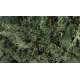 Lichen - 1.5qts 1.4L -- Dark Green, All Scales, Woodland Scenics 164