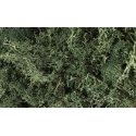 Lichen - 1.5qts 1.4L -- Dark Green, All Scales, Woodland Scenics 164