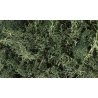Lichen - 1.5qts 1.4L -- Dark Green, All Scales, Woodland Scenics 164