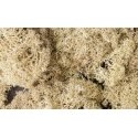 Lichen - 1.5qts 1.4L -- Natural Color, All Scales, Woodland Scenics 166