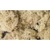 Lichen - 1.5qts 1.4L -- Natural Color, All Scales, Woodland Scenics 166