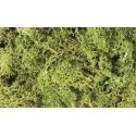 Lichen - 1.5qts 1.4L -- Light Green, All Scales, Woodland Scenics 162