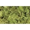 Lichen - 1.5qts 1.4L -- Light Green, All Scales, Woodland Scenics 162